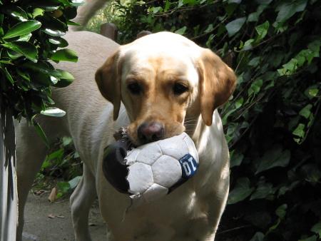 Chelsea